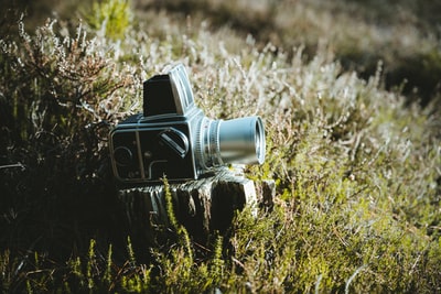 草地上木头上的灰黑色照相机